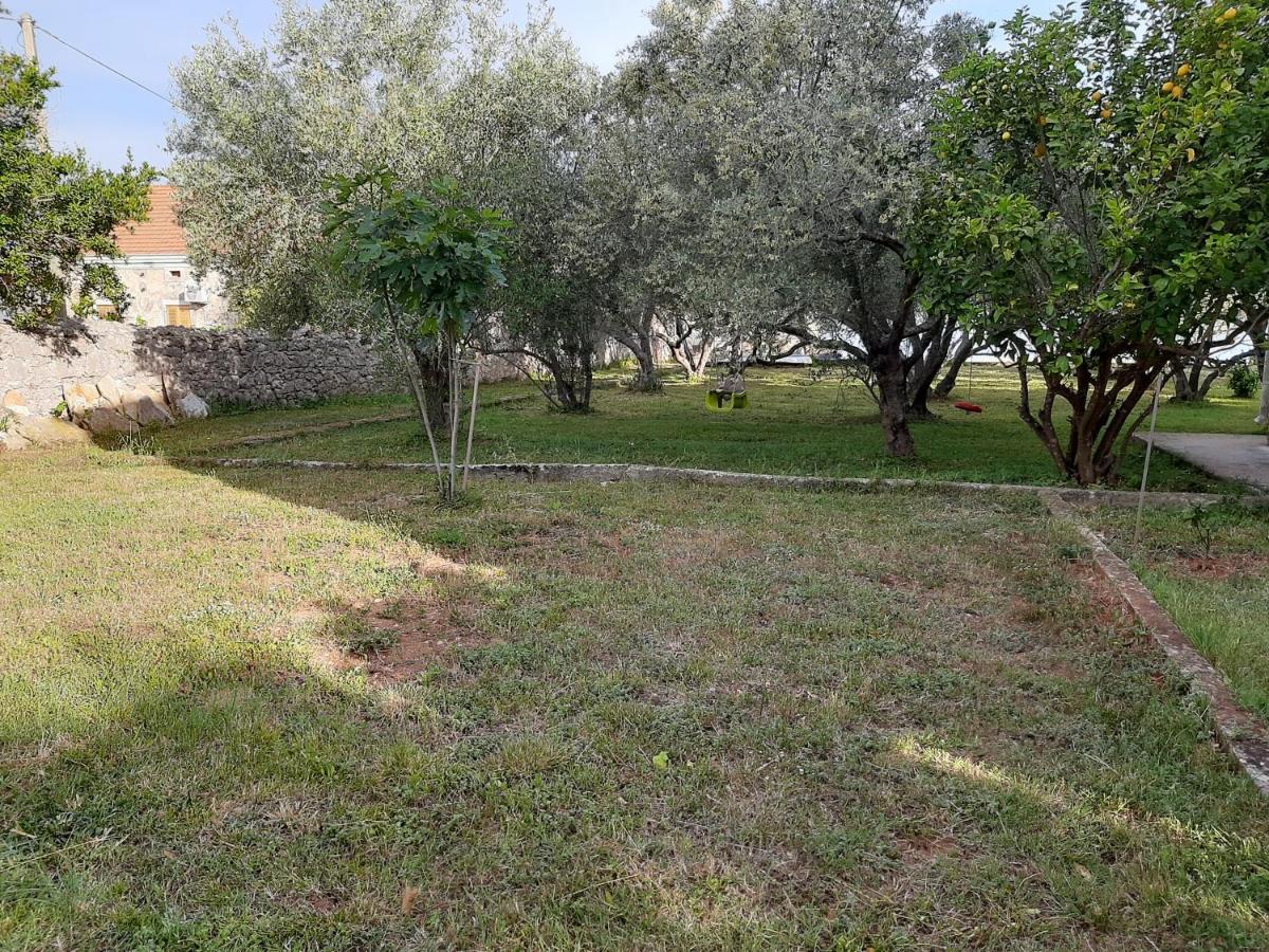 Apartamento Family House Rebeka Ugljan Exterior foto